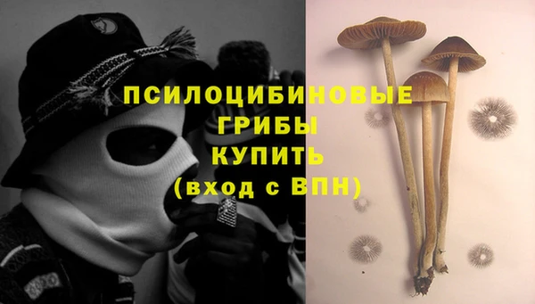 PSILOCYBIN Беломорск